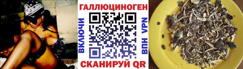 Купить  Наволоки  Галлюциногенные грибы MAGIC MUSHROOMS 
